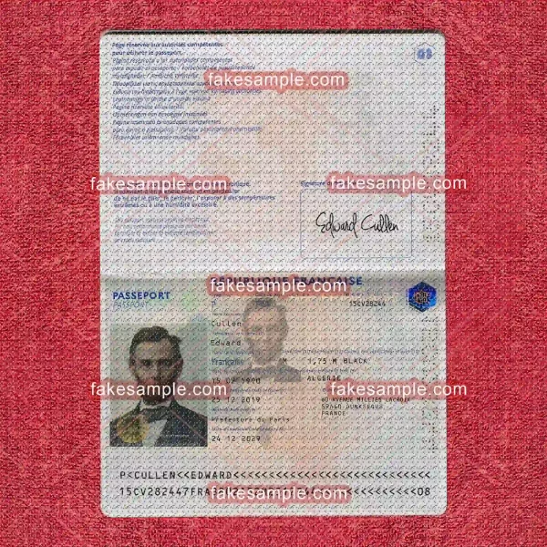 France Passport Fake Template