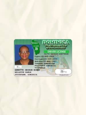 Dominica driver license psd fake template