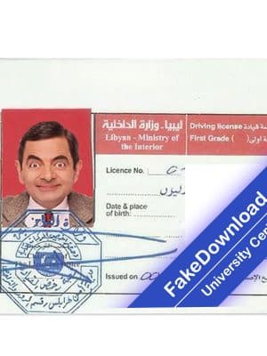 Libya driver license psd fake template