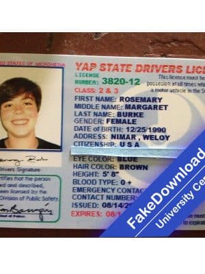 Micronesia driver license psd fake template