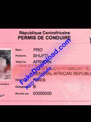 Central African driver license psd fake template