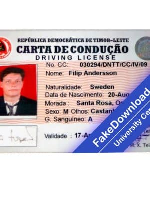 Timor driver license psd fake template