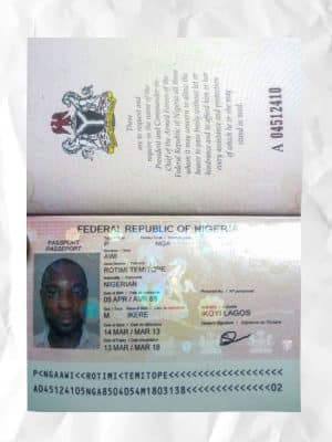 Niger passport fake template psd