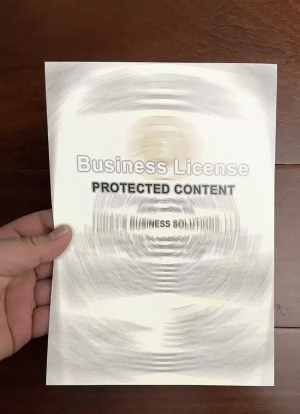 Japan Business Licenses & Permits Fake Template - Image 2