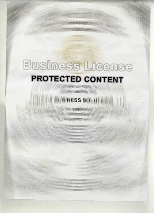 Japan Business Licenses & Permits Fake Template - Image 3