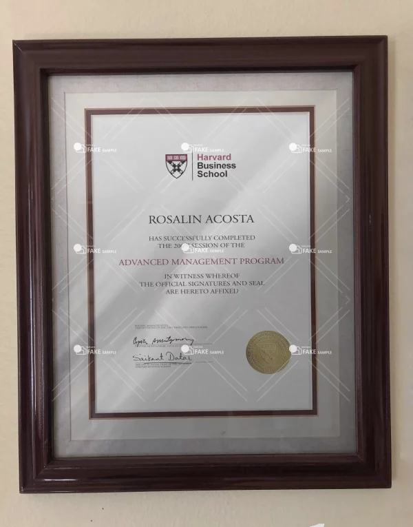 Harvard Business School Diploma Certificate Fake Template